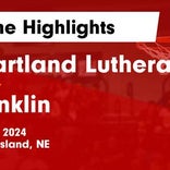 Basketball Game Preview: Heartland Lutheran Red Hornets vs. Palmer Tigers