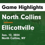 Basketball Game Recap: North Collins Eagles vs. Pine Valley Central Panthers