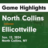 North Collins vs. Pine Valley Central