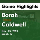 Basketball Game Preview: Borah Lions vs. Timberline Wolves