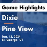 Basketball Game Recap: Pine View Panthers vs. Crimson Cliffs Mustangs