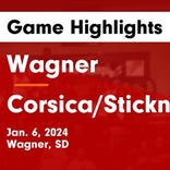 Basketball Game Preview: Corsica/Stickney Jaguars vs. McCook Central/Montrose Fighting Cougars