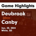 Basketball Game Preview: Deubrook Dolphins vs. Castlewood Warriors