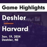 Basketball Game Recap: Deshler Dragons vs. Giltner Hornets