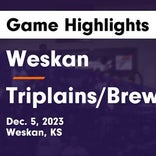 Triplains/Brewster vs. Weskan