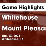 Basketball Game Preview: Whitehouse Wildcats vs. Tyler Lions