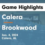 Basketball Game Recap: Brookwood Panthers vs. Holt Ironmen 