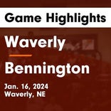 Basketball Game Preview: Waverly Vikings vs. Hastings Tigers