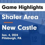 Shaler Area suffers fourth straight loss at home