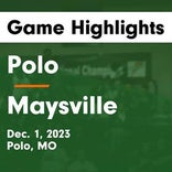 Basketball Game Recap: Polo Panthers vs. Milan Wildcats