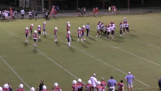 Baseball Game Preview: Miller County Pirates vs. Baconton Charte