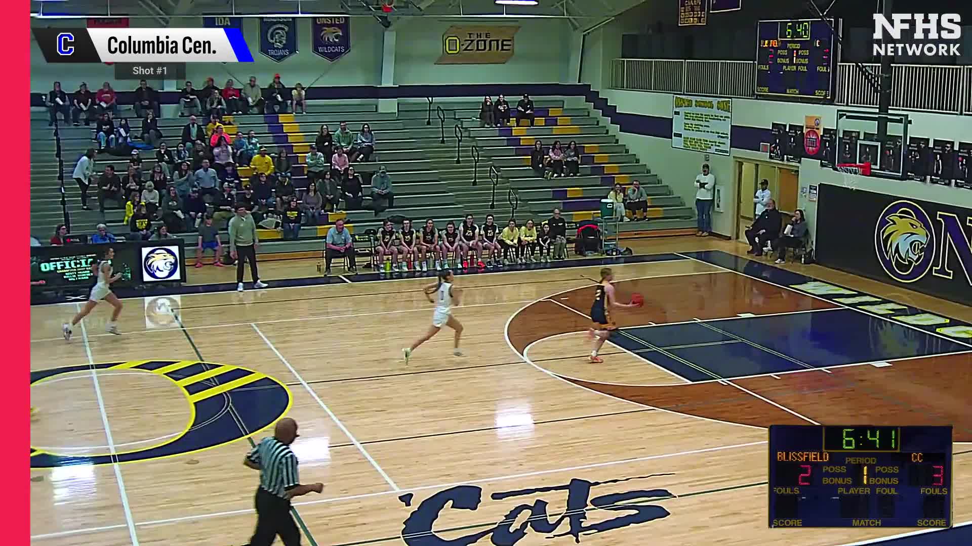 Basketball Recap: Demya Gibbons' Big Game Can't Quite Lead Blissfield over Columbia Central + How To Watch