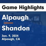 Basketball Game Preview: Alpaugh Buffalos vs. Laton Mustangs