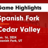 Basketball Game Preview: Spanish Fork Dons vs. Wasatch Wasps