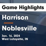 Basketball Game Preview: Harrison Raiders vs. Benton Central Bison