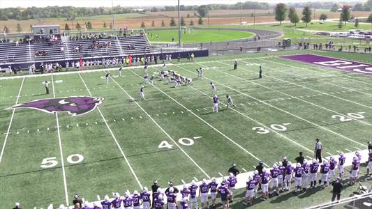 Baseball Game Preview: Buffalo Plays at Home