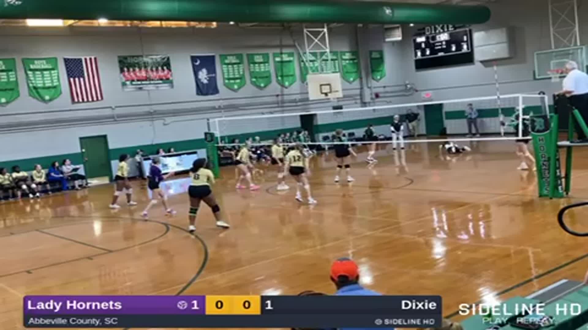 Softball Game Preview: Ware Shoals Hornets vs. Lewisville Lions