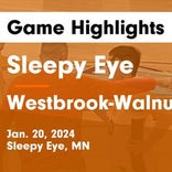 Basketball Game Recap: Westbrook-Walnut Grove Chargers vs. Red Rock Central Falcons