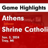 Basketball Game Recap: Shrine Catholic Knights vs. Berkley Bears