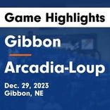 Basketball Game Recap: Gibbon Buffaloes vs. Shelton Bulldogs