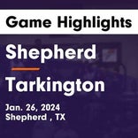 Basketball Game Recap: Tarkington Longhorns vs. Shepherd Pirates