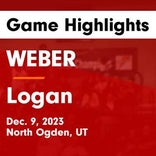 Basketball Game Recap: Logan Grizzlies vs. South Summit Wildcats