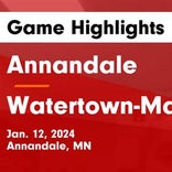 Basketball Game Preview: Annandale Cardinals vs. Rockford Rockets