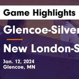 Basketball Game Preview: Glencoe-Silver Lake Panthers vs. Mound-Westonka White Hawks
