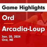 Basketball Game Recap: Arcadia/Loup City Rebels vs. Wood River Eagles