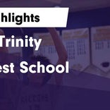 Basketball Game Recap: Pine Crest Panthers vs. Palmer Trinity Falcons