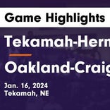Basketball Game Recap: Tekamah-Herman Tigers vs. Howells-Dodge Jaguars