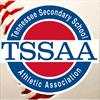 Tennessee high school baseball: TSSAA computer rankings, live broadcasts, stats leaders, schedules and scores