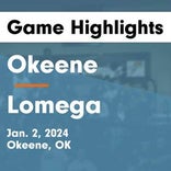 Basketball Game Preview: Lomega Raiders vs. Balko Bison
