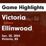 Basketball Game Preview: Victoria Knights vs. Stockton Tigers