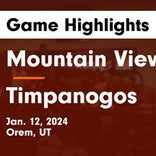 Basketball Game Recap: Timpanogos Timberwolves vs. Uintah Utes