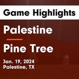Palestine snaps seven-game streak of wins on the road