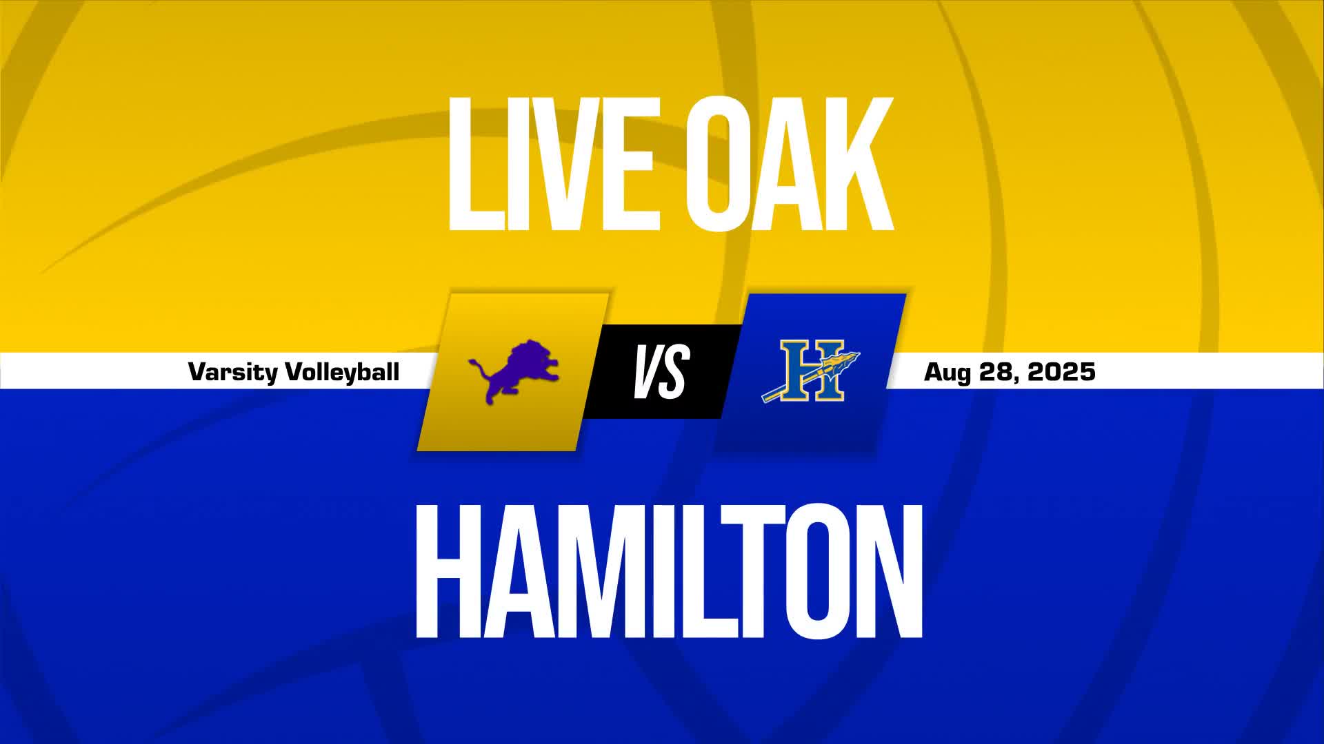 Volleyball Recap: Live Oak Takes a Loss
