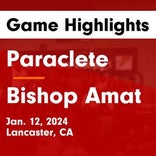Basketball Game Preview: Paraclete Spirits vs. Legacy Christian Academy Lions