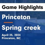 Soccer Game Preview: Princeton on Home-Turf