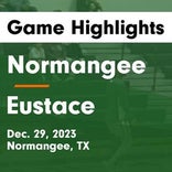 Basketball Game Recap: Eustace Bulldogs vs. Palmer Bulldogs