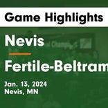 Basketball Game Recap: Fertile-Beltrami Falcons vs. Ada-Borup Cougars