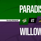 Volleyball Recap: Paradise Comes Up Short