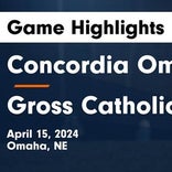 Soccer Game Recap: Concordia Triumphs
