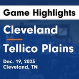 Basketball Game Recap: Tellico Plains Bears vs. Cleveland Blue Raiders