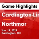 Northmor comes up short despite  Madison Simpson's dominant performance