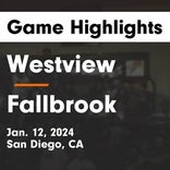 Basketball Game Recap: Westview Wolverines vs. Mt. Carmel Sundevils