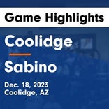 Basketball Game Preview: Sabino Sabercats vs. Show Low Cougars