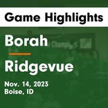 Basketball Game Preview: Borah Lions vs. Timberline Wolves