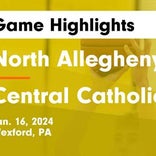 Basketball Game Preview: Central Catholic Vikings vs. Aliquippa Quips