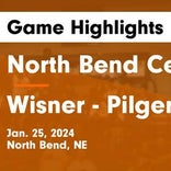 Basketball Game Recap: Wisner-Pilger Gators vs. Laurel-Concord-Coleridge Bears